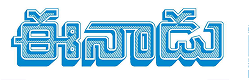 Media Logo
